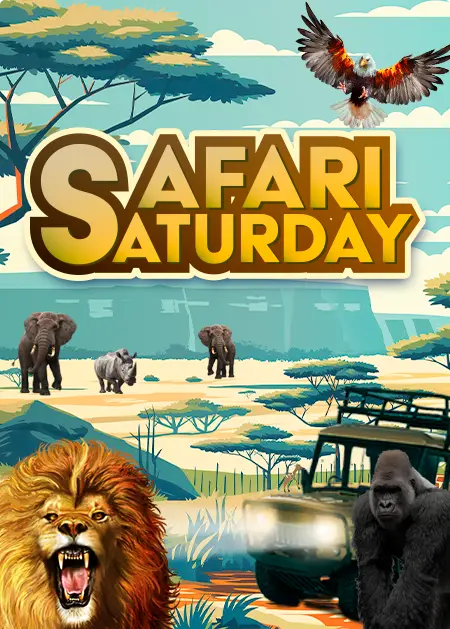 Sábado de safari